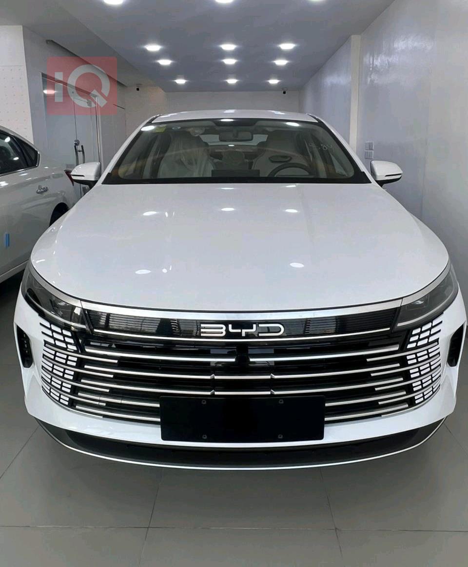 بی وای دی دیسترۆیەر 05